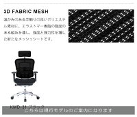 新商品《期間中ポイント10倍!》【完成品】エルゴヒューマンプロ/クッション座面タイプ(カラー:ブラックのみ限定)/ヘッドレスト付【搬入・設置・梱包材引取り無料】【家財便送料無料】高機能メッシュオフィスチェア/EGP