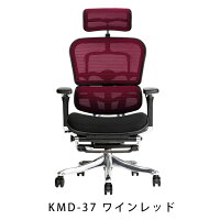 新商品《期間中ポイント10倍!》【完成品】エルゴヒューマンプロオットマン内蔵型(ラチェット式高さ調節タイプ)/クッション座面タイプ(座カラー:ブラックのみ限定)/ヘッドレスト付【搬入・設置・梱包材引取り無料】【家財便送料無料】高機能オフィスチェア/EGP