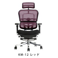 新商品《期間中ポイント10倍!》【完成品】エルゴヒューマンプロオットマン内蔵型(ラチェット式高さ調節タイプ)/クッション座面タイプ(座カラー:ブラックのみ限定)/ヘッドレスト付【搬入・設置・梱包材引取り無料】【家財便送料無料】高機能オフィスチェア/EGP