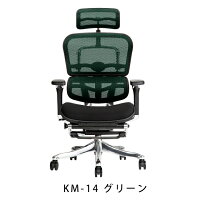 新商品《期間中ポイント10倍!》【完成品】エルゴヒューマンプロオットマン内蔵型(ラチェット式高さ調節タイプ)/クッション座面タイプ(座カラー:ブラックのみ限定)/ヘッドレスト付【搬入・設置・梱包材引取り無料】【家財便送料無料】高機能オフィスチェア/EGP