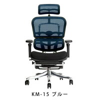新商品《期間中ポイント10倍!》【完成品】エルゴヒューマンプロオットマン内蔵型(ラチェット式高さ調節タイプ)/クッション座面タイプ(座カラー:ブラックのみ限定)/ヘッドレスト付【搬入・設置・梱包材引取り無料】【家財便送料無料】高機能オフィスチェア/EGP