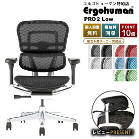 【メーカー認定特約店・豪華レビュー特典・在庫品即納・P10倍】エルゴヒューマン プロ2 ローバック (ヘッドレスト無し) フレーム：ブラック or グレー【お届け時は完成品をお客様ご指示の場所まで搬入して梱包材を回収します】Ergohuman Pro2