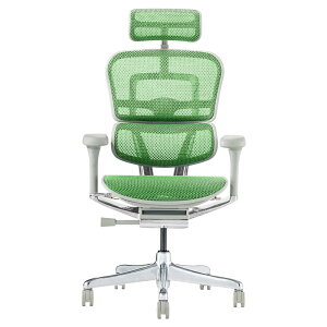 N[|L 25/2Vfygsv̓X[J[iE؃r[TE݌ɕi[EP10{zGSq[} v2 / wbhXgt bV @\ItBX`FA Ergohuman Pr