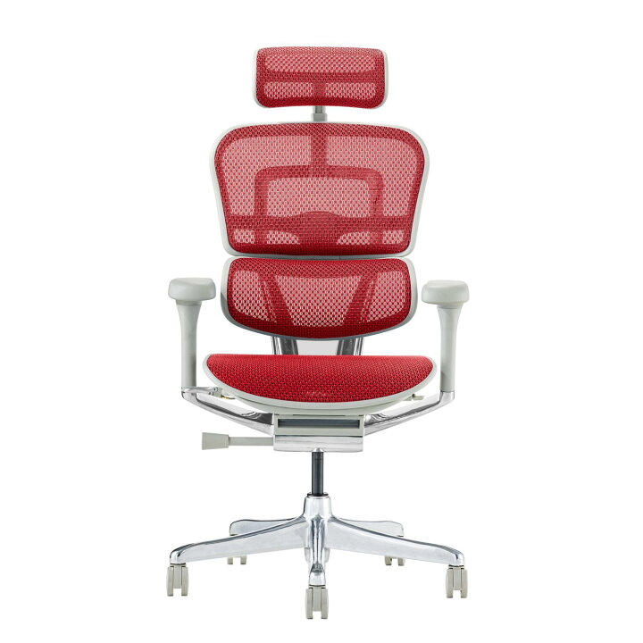楽天市場】25/2発売新モデル【特約店メーカー完成品・豪華レビュー特典  