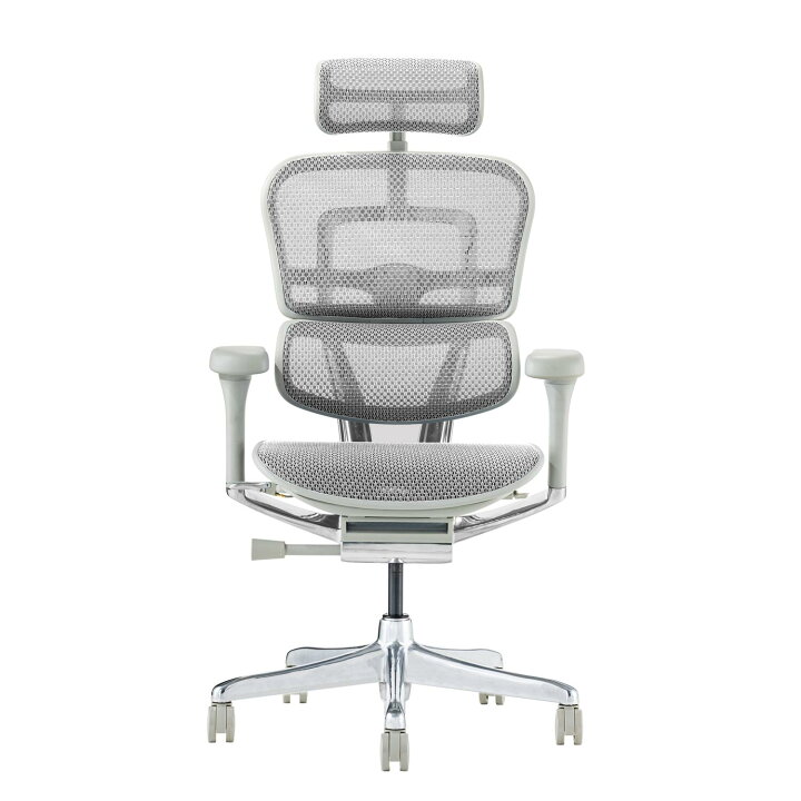 楽天市場】25/2発売新モデル【特約店メーカー完成品・豪華レビュー特典 