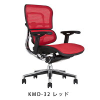 《期間中ポイント10倍!》【完成品】エルゴヒューマンベーシック/ヘッドレスト無し【梱包材を無料で処分】【家財便配送】エルゴヒューマンチェア/EGP