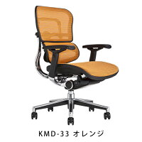 《期間中ポイント10倍!》【完成品】エルゴヒューマンベーシック/ヘッドレスト無し【梱包材を無料で処分】【家財便配送】エルゴヒューマンチェア/EGP