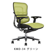 《期間中ポイント10倍!》【完成品】エルゴヒューマンベーシック/ヘッドレスト無し【梱包材を無料で処分】【家財便配送】エルゴヒューマンチェア/EGP