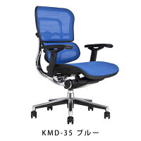 《期間中ポイント10倍!》【完成品】エルゴヒューマンベーシック/ヘッドレスト無し【梱包材を無料で処分】【家財便配送】エルゴヒューマンチェア/EGP