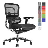 《期間中ポイント10倍!》【完成品】エルゴヒューマンベーシック/ヘッドレスト無し【梱包材を無料で処分】【家財便配送】エルゴヒューマンチェア/EGP