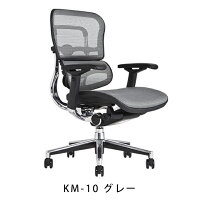 《期間中ポイント10倍!》【完成品】エルゴヒューマンベーシック/ヘッドレスト無し【梱包材を無料で処分】【家財便配送】エルゴヒューマンチェア/EGP