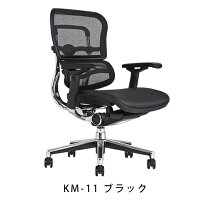 《期間中ポイント10倍!》【完成品】エルゴヒューマンベーシック/ヘッドレスト無し【梱包材を無料で処分】【家財便配送】エルゴヒューマンチェア/EGP