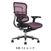 《期間中ポイント10倍!》【完成品】エルゴヒューマンベーシック/ヘッドレスト無し【梱包材を無料で処分】【家財便配送】エルゴヒューマンチェア/EGP