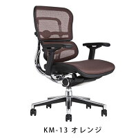 《期間中ポイント10倍!》【完成品】エルゴヒューマンベーシック/ヘッドレスト無し【梱包材を無料で処分】【家財便配送】エルゴヒューマンチェア/EGP