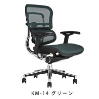 《期間中ポイント10倍!》【完成品】エルゴヒューマンベーシック/ヘッドレスト無し【梱包材を無料で処分】【家財便配送】エルゴヒューマンチェア/EGP