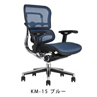 《期間中ポイント10倍!》【完成品】エルゴヒューマンベーシック/ヘッドレスト無し【梱包材を無料で処分】【家財便配送】エルゴヒューマンチェア/EGP