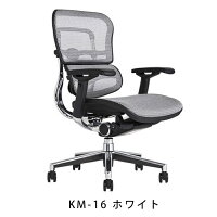 《期間中ポイント10倍!》【完成品】エルゴヒューマンベーシック/ヘッドレスト無し【梱包材を無料で処分】【家財便配送】エルゴヒューマンチェア/EGP
