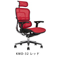 《期間中ポイント10倍!》【完成品・即納】エルゴヒューマンベーシック/ヘッドレスト付【梱包材を無料で処分】【家財便配送】高機能メッシュチェア/EH-HAM/オフィスチェア/EGP