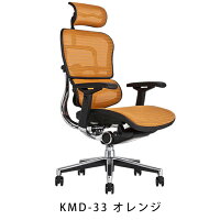 《期間中ポイント10倍!》【完成品・即納】エルゴヒューマンベーシック/ヘッドレスト付【梱包材を無料で処分】【家財便配送】高機能メッシュチェア/EH-HAM/オフィスチェア/EGP