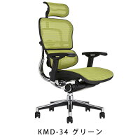《期間中ポイント10倍!》【完成品・即納】エルゴヒューマンベーシック/ヘッドレスト付【梱包材を無料で処分】【家財便配送】高機能メッシュチェア/EH-HAM/オフィスチェア/EGP