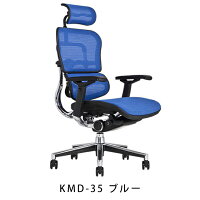 《期間中ポイント10倍!》【完成品・即納】エルゴヒューマンベーシック/ヘッドレスト付【梱包材を無料で処分】【家財便配送】高機能メッシュチェア/EH-HAM/オフィスチェア/EGP