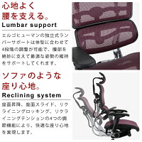 新商品《期間中ポイント10倍!》【完成品】エルゴヒューマンベーシック/クッション座面タイプ(座カラー:ブラックのみ限定)/ヘッドレスト付【搬入・設置・梱包材引取り無料】【家財便送料無料】高機能メッシュオフィスチェア/EH-HAMエルゴヒューマンチェア/EGP