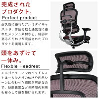 新商品《期間中ポイント10倍!》【完成品】エルゴヒューマンベーシック/クッション座面タイプ(座カラー:ブラックのみ限定)/ヘッドレスト付【搬入・設置・梱包材引取り無料】【家財便送料無料】高機能メッシュオフィスチェア/EH-HAMエルゴヒューマンチェア/EGP