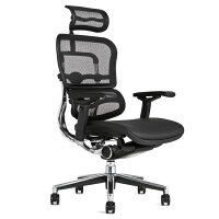 《期間中ポイント10倍!》【完成品・即納】エルゴヒューマンベーシック/ヘッドレスト付【梱包材を無料で処分】【家財便配送】高機能メッシュチェア/EH-HAM/オフィスチェア/EGP