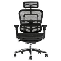 《期間中ポイント10倍!》【完成品・即納】エルゴヒューマンベーシック/ヘッドレスト付【梱包材を無料で処分】【家財便配送】高機能メッシュチェア/EH-HAM/オフィスチェア/EGP