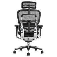 《期間中ポイント10倍!》【完成品・即納】エルゴヒューマンベーシック/ヘッドレスト付【梱包材を無料で処分】【家財便配送】高機能メッシュチェア/EH-HAM/オフィスチェア/EGP