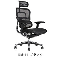 《期間中ポイント10倍!》【完成品・即納】エルゴヒューマンベーシック/ヘッドレスト付【梱包材を無料で処分】【家財便配送】高機能メッシュチェア/EH-HAM/オフィスチェア/EGP