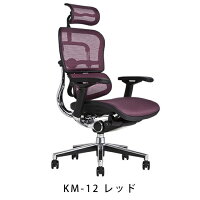 《期間中ポイント10倍!》【完成品・即納】エルゴヒューマンベーシック/ヘッドレスト付【梱包材を無料で処分】【家財便配送】高機能メッシュチェア/EH-HAM/オフィスチェア/EGP