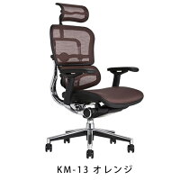 《期間中ポイント10倍!》【完成品・即納】エルゴヒューマンベーシック/ヘッドレスト付【梱包材を無料で処分】【家財便配送】高機能メッシュチェア/EH-HAM/オフィスチェア/EGP