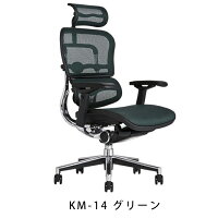 《期間中ポイント10倍!》【完成品・即納】エルゴヒューマンベーシック/ヘッドレスト付【梱包材を無料で処分】【家財便配送】高機能メッシュチェア/EH-HAM/オフィスチェア/EGP