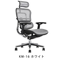 《期間中ポイント10倍!》【完成品・即納】エルゴヒューマンベーシック/ヘッドレスト付【梱包材を無料で処分】【家財便配送】高機能メッシュチェア/EH-HAM/オフィスチェア/EGP
