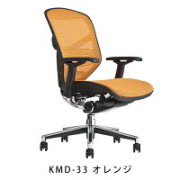 《期間中ポイント10倍!》【完成品】エルゴヒューマンエンジョイ/ランバーサポート付/ヘッドレスト無し【梱包材を無料で処分】【家財便配送】メッシュチェアオフィスチェアENJOY/EGP