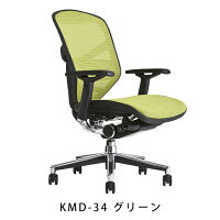 《期間中ポイント10倍!》【完成品】エルゴヒューマンエンジョイ/ランバーサポート付/ヘッドレスト無し【梱包材を無料で処分】【家財便配送】メッシュチェアオフィスチェアENJOY/EGP