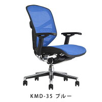 《期間中ポイント10倍!》【完成品】エルゴヒューマンエンジョイ/ランバーサポート付/ヘッドレスト無し【梱包材を無料で処分】【家財便配送】メッシュチェアオフィスチェアENJOY/EGP