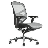 《期間中ポイント10倍!》【完成品】エルゴヒューマンエンジョイ/ランバーサポート付/ヘッドレスト無し【梱包材を無料で処分】【家財便配送】メッシュチェアオフィスチェアENJOY/EGP