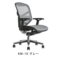 《期間中ポイント10倍!》【完成品】エルゴヒューマンエンジョイ/ランバーサポート付/ヘッドレスト無し【梱包材を無料で処分】【家財便配送】メッシュチェアオフィスチェアENJOY/EGP