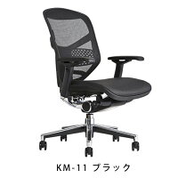 《期間中ポイント10倍!》【完成品】エルゴヒューマンエンジョイ/ランバーサポート付/ヘッドレスト無し【梱包材を無料で処分】【家財便配送】メッシュチェアオフィスチェアENJOY/EGP