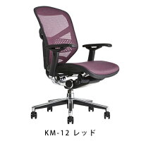 《期間中ポイント10倍!》【完成品】エルゴヒューマンエンジョイ/ランバーサポート付/ヘッドレスト無し【梱包材を無料で処分】【家財便配送】メッシュチェアオフィスチェアENJOY/EGP