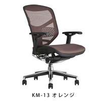 《期間中ポイント10倍!》【完成品】エルゴヒューマンエンジョイ/ランバーサポート付/ヘッドレスト無し【梱包材を無料で処分】【家財便配送】メッシュチェアオフィスチェアENJOY/EGP