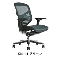 《期間中ポイント10倍!》【完成品】エルゴヒューマンエンジョイ/ランバーサポート付/ヘッドレスト無し【梱包材を無料で処分】【家財便配送】メッシュチェアオフィスチェアENJOY/EGP
