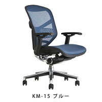 《期間中ポイント10倍!》【完成品】エルゴヒューマンエンジョイ/ランバーサポート付/ヘッドレスト無し【梱包材を無料で処分】【家財便配送】メッシュチェアオフィスチェアENJOY/EGP