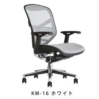 《期間中ポイント10倍!》【完成品】エルゴヒューマンエンジョイ/ランバーサポート付/ヘッドレスト無し【梱包材を無料で処分】【家財便配送】メッシュチェアオフィスチェアENJOY/EGP