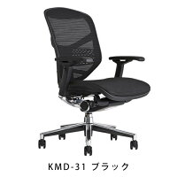 《期間中ポイント10倍!》【完成品】エルゴヒューマンエンジョイ/ランバーサポート付/ヘッドレスト無し【梱包材を無料で処分】【家財便配送】メッシュチェアオフィスチェアENJOY/EGP