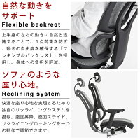 【完成品】エルゴヒューマンフィット(ErgohumanFit)/ヘッドレスト付【梱包材を無料で処分】【家財便配送】高機能メッシュチェア/オフィスチェア