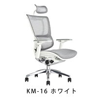 【完成品】エルゴヒューマンフィット(ErgohumanFit)/ヘッドレスト付【梱包材を無料で処分】【家財便配送】高機能メッシュチェア/オフィスチェア