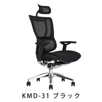 【完成品】エルゴヒューマンフィット(ErgohumanFit)/ヘッドレスト付【梱包材を無料で処分】【家財便配送】高機能メッシュチェア/オフィスチェア